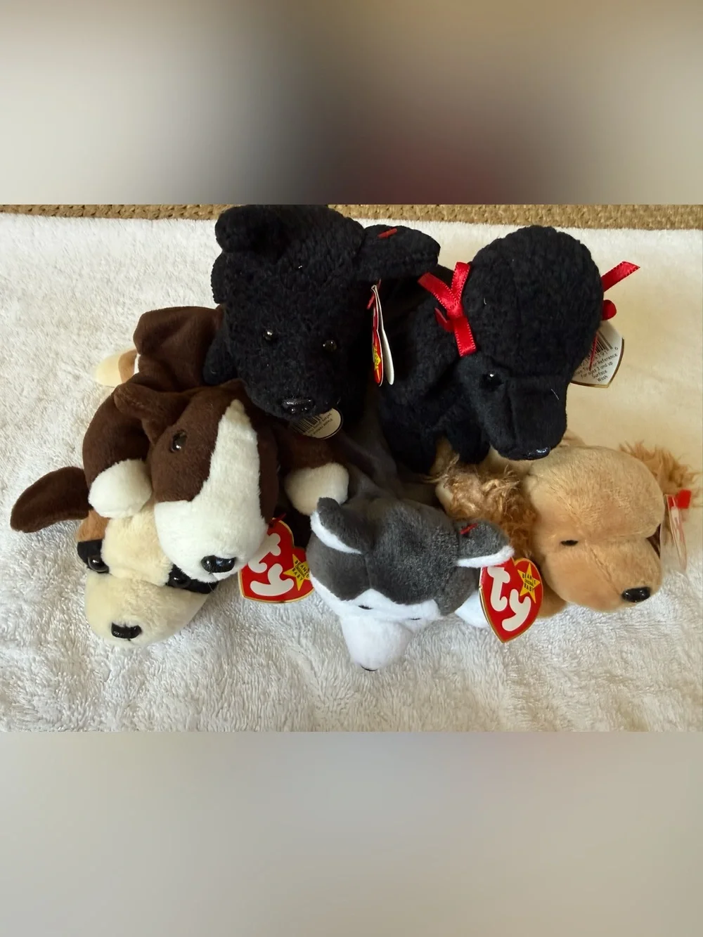 6 Vintage Ty Dog Beanie Babies w Tags MWMT